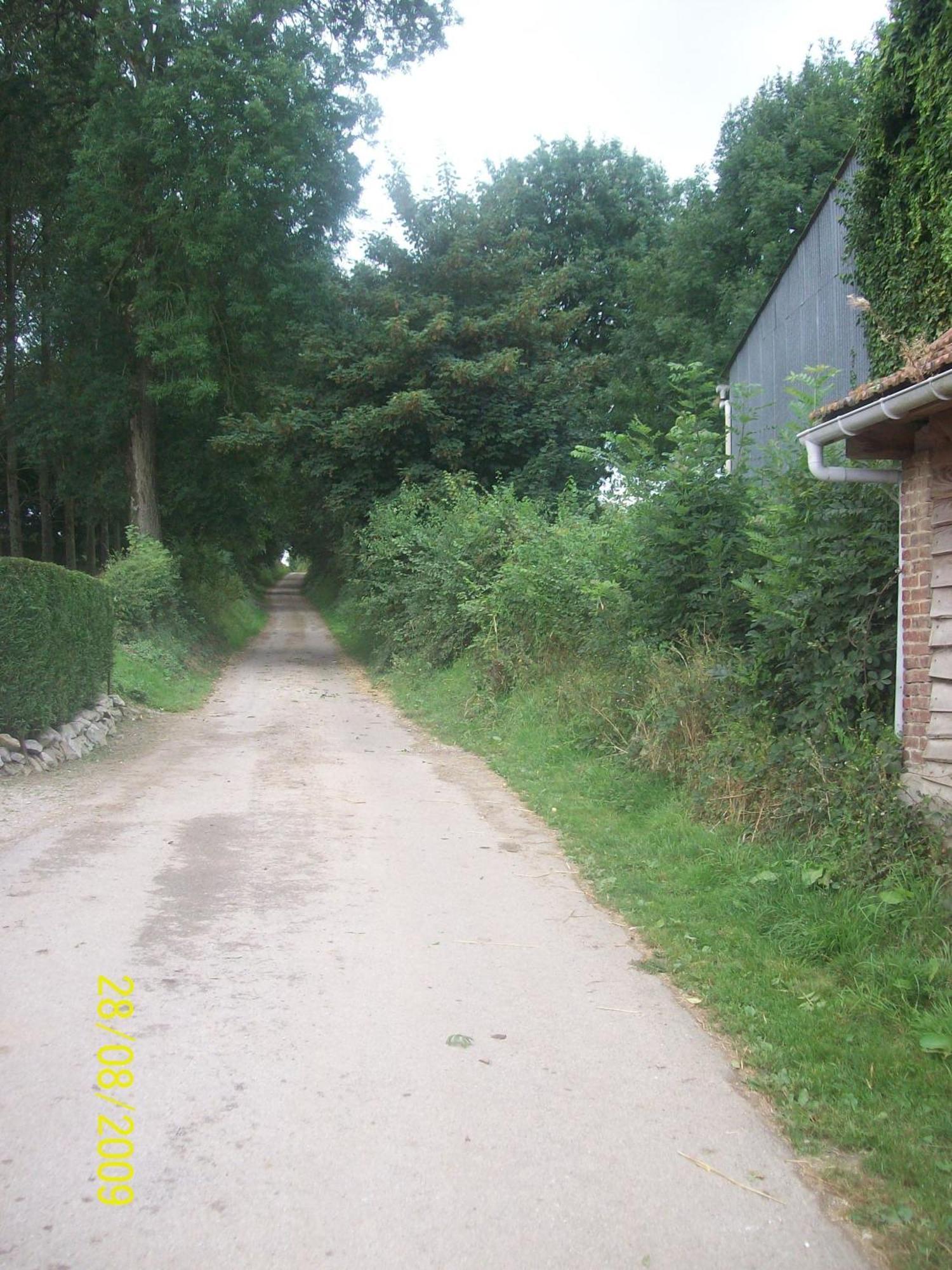 Chambres Et Table D'Hotes Les Trois Marquets Bourthes Exteriör bild